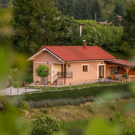 Hill Cottage Haloze Gruskovec Exteriér fotografie