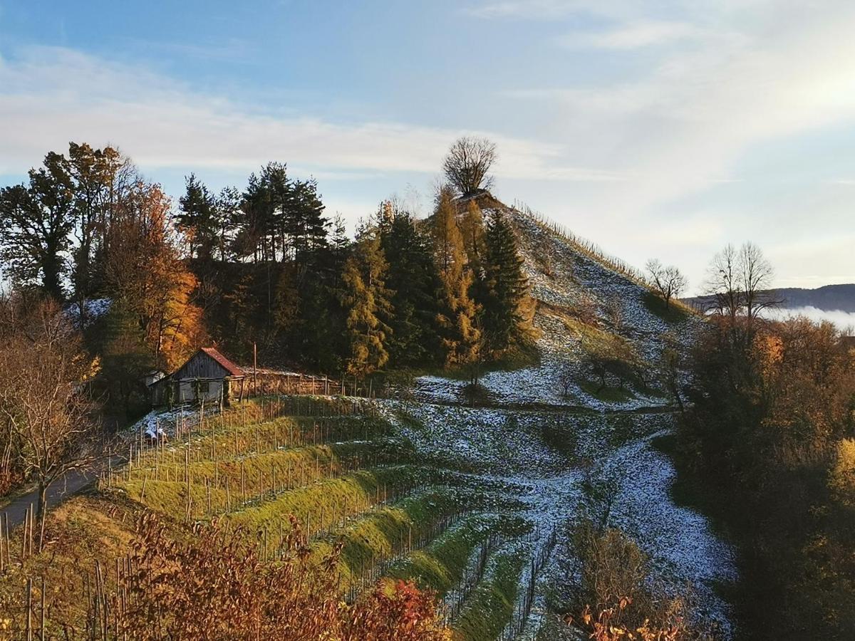 Hill Cottage Haloze Gruskovec Exteriér fotografie