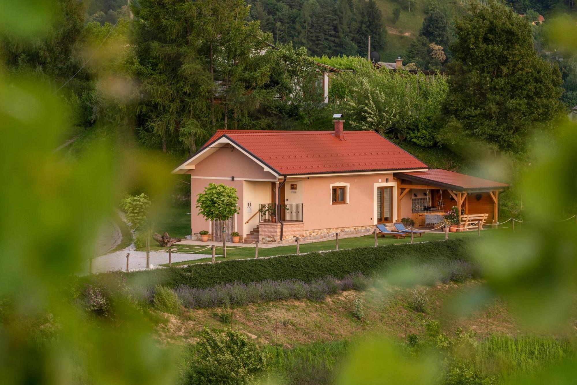 Hill Cottage Haloze Gruskovec Exteriér fotografie